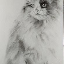 Il mio progetto del corso: Disegno espressivo al carboncino. Fine Arts, Drawing, Portrait Drawing, and Naturalistic Illustration project by Lussi Bascetta - 03.27.2024