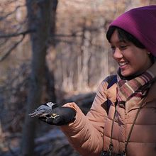 How Birdwatching Helped Me Find My Queer Community — and Myself. Un progetto di Scrittura, Scrittura di narrativa non-fiction, Scrittura creativa e Fotografia di Ashley D'Souza - 02.03.2024