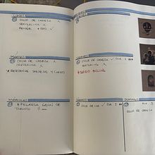 Mi proyecto del curso: Bullet journal creativo: planificación y creatividad. Traditional illustration, Lettering, Drawing, H, Lettering, Management, and Productivit project by Haydée Cázares - 03.27.2024