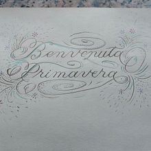 Il mio progetto del corso: Introduzione alle fioriture del corsivo inglese. Un projet de Calligraphie, Lettering , et Lettering manuel de Gloria Vincenti - 21.03.2024