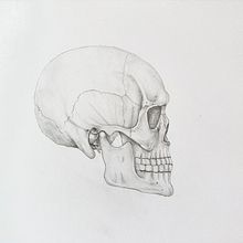 My project for course: Intro to Anatomy Drawing with Graphite Pencil . Seni Rupa, Gambar Pensil, Menggambar, Gambar Realistis, Dan Gambar Gambar proyek oleh moneill27 - 03.18.2024