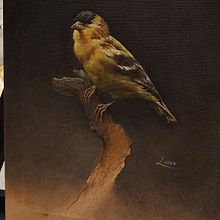 Meu projeto do curso: Pintura a óleo clássica para retratos naturalistas de pássaros. Un progetto di Belle arti, Pittura, Pittura ad olio e Illustrazione naturalistica di Luiza Costa - 29.03.2024