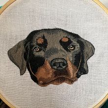 Mi proyecto del curso: Needle painting para principiantes. Un proyecto de Bordado, Ilustración naturalista				 y Diseño textil de Camila Cuadros Sundquist - 29.03.2024