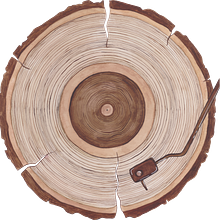 Wood vinyl. Traditional illustration project by Leonie Thoby - 03.30.2024