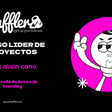 Desarrollo de Áreas de branding. Design, Br, ing & Identit project by Baffler - 03.31.2024