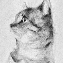Mon projet du cours : Dessin expressif au fusain. Un proyecto de Bellas Artes, Dibujo, Dibujo de Retrato e Ilustración naturalista				 de Florence Salvati - 01.04.2024