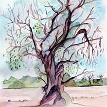 Mon projet du cours : Explorez des techniques de brossage à sec à l'aquarelle. Projekt z dziedziny  Sztuki piękne,  Malarstwo,  R, sunek, Malowanie akwarelą, R, sunek botaniczn, Ilustracja naturalist i czna użytkownika Antioco Piras - 01.04.2024