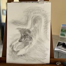 Mon projet du cours : Dessin expressif au fusain. Un progetto di Belle arti, Disegno, Disegno di ritratti e Illustrazione naturalistica di g2jcv9ctyf - 01.04.2024