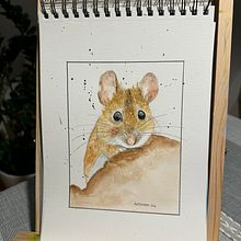 Il mio progetto del corso: Illustrazione realistica di animali selvatici ad acquerello. Un progetto di Belle arti, Pittura, Pittura ad acquerello e Illustrazione naturalistica di Alessandra Roncagliolo - 01.04.2024