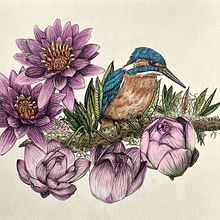 Mi proyecto del curso: Ilustración naturalista con bolígrafo. Un proyecto de Ilustración tradicional, Dibujo, Dibujo realista e Ilustración naturalista				 de Ana Fabre - 01.04.2024