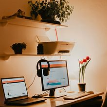 Mi proyecto del curso: Decoración expresiva con plantas de interior. Projekt z dziedziny Projektowanie wnętrz, Architektura krajobrazu,  Dekoracja wnętrz, Dekoracja wnętrz, DIY, Kompoz, cje kwiatowe i botaniczne i Projektowanie przestrzeni użytkownika Ana Paula Simões - 02.04.2024