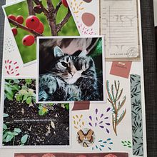 Mijn project van de cursus: Creatieve loopbaangroei: vind je artistieke pad. Creative Consulting, Communication, Management, Productivit, and Business project by agnetha_vandenreeck - 04.02.2024