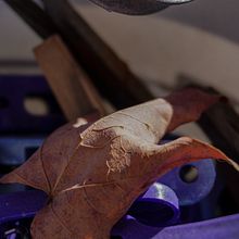 Mon projet du cours : Photographie pour débutants : découvrez votre appareil numérique. Un proyecto de Fotografía, Fotografía digital y Composición fotográfica de Karine Desjardins - 23.03.2024