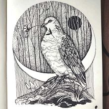 My project for course: Realistic Illustration of Birds with Imaginative Elements. Pencil Drawing, Drawing, Ink Illustration, and Naturalistic Illustration project by Olena Andrushchenko - 04.04.2024