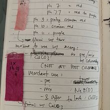 Trial color using brazilian wood and others. Tingimento têxtil projeto de Fransisca Eko Dewiyanti - 05.04.2024