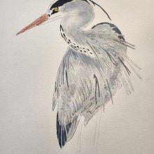 Crane. Painting project by Judith Umlauf - 04.05.2024