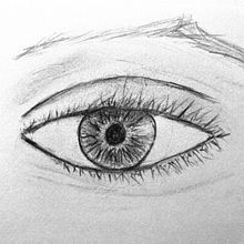 My project for Sketching faces. Pencil Drawing, and Sketching project by Kaye - 04.06.2024