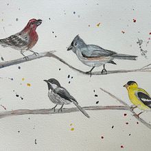 My project for course: Artistic Watercolor Techniques for Illustrating Birds. Un proyecto de Ilustración tradicional, Pintura a la acuarela, Dibujo realista e Ilustración naturalista				 de Lesa Crisp - 04.04.2024