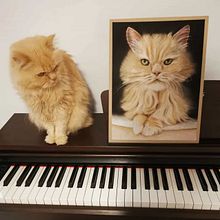 Fuyur a pastel. Un progetto di Belle arti di Noa López - 07.04.2024