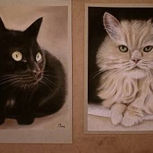 Gatitos a pastel. Un progetto di Belle arti di Noa López - 01.10.2024