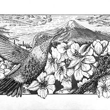 My project for course: Dip Pen and Ink Illustration: Capturing The Natural World. Een project van  Schetsen,  Tekening,  Artistieke tekening, Sketchbook,  Illustratie met inkt y Naturalistische illustratie van Irina Cara Carina - 08.04.2024