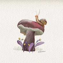 Mashroom. Digital Drawing, Digital Painting, Drawing, and Watercolor Painting project by Amna Albanna - 04.08.2024