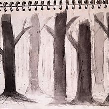 Mi proyecto del curso: De principiante a superdibujante. Design, Traditional illustration, Pencil Drawing, and Drawing project by Diego Espitia - 04.10.2024