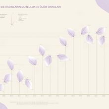 My project for course: Data Visualization and Information Design: Create a Visual Model. Infographics project by togotugce - 04.10.2024