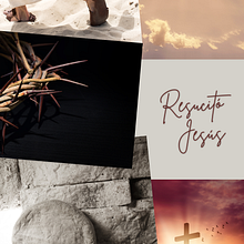 Mi proyecto del curso: Canva de 0 a 100: crea diseños de forma profesional. Br, ing, Identit, Graphic Design, Web Design, and Social Media Design project by Isenith Justiniani - 04.11.2024