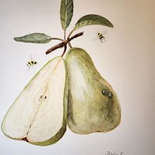 My project for course: Realistic Botanical Illustration: Escape to Nature. Painting, Watercolor Painting, Botanical Illustration, and Naturalistic Illustration project by Judith Umlauf - 04.12.2024