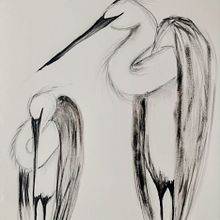My project for course: Animal Illustration with Charcoal and Ink. Projekt z dziedziny  Sztuki piękne,  R, sunek,  R, sunek atramentem, Ilustracja naturalist i czna użytkownika jennifercossar - 12.04.2024