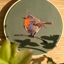 Rotkehlchen- pintura com agulha . Embroider project by marisbernardini - 04.13.2024