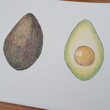 Frutas. Traditional illustration, and Colored Pencil Drawing project by Magali Garrigue - 04.13.2024