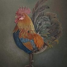 Il mio progetto del corso: Ritratto di animali da compagnia con matite colorate. Traditional illustration, and Naturalistic Illustration project by Claudia Foroni - 04.13.2024