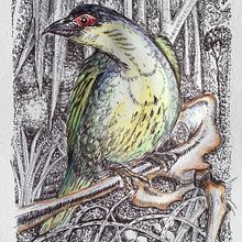 My project for course: Naturalist Illustration with Ballpoint Pen . Traditional illustration, Drawing, Realistic Drawing, and Naturalistic Illustration project by jumamurphy - 04.13.2024