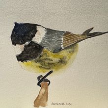 Bird. Un progetto di Pittura ad acquerello di Alessandra Roncagliolo - 14.04.2024