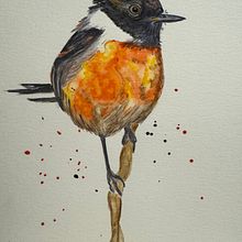 Black bird. Un progetto di Pittura ad acquerello di Alessandra Roncagliolo - 14.04.2024
