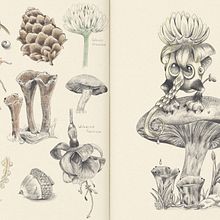 Mi proyecto del curso: Sketchbook de naturaleza fantástica: dibuja criaturas de otro mundo. Pencil Drawing, Drawing, Watercolor Painting, Sketchbook, and Naturalistic Illustration project by Conny Akinboni - 04.15.2024