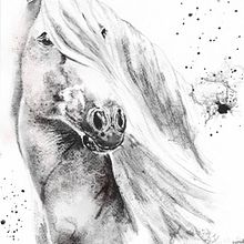 Mi proyecto del curso: Retratos expresivos de animales en acuarela. Traditional illustration, Watercolor Painting, Realistic Drawing, and Naturalistic Illustration project by Ana Mainar Juste - 05.10.2024