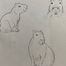 Mi proyecto del curso: Dibujo a lápiz de animales realistas para cuentos. Projekt z dziedziny Projektowanie postaci, R, sunek ołówkiem,  R, sunek i Ilustracje dla dzieci użytkownika cherry_la__ - 17.04.2024