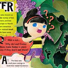 Leafcutter Bees. Information Design, Children's Illustration, and Digital Illustration project by Terri Lemire-Wilson - 02.24.2024