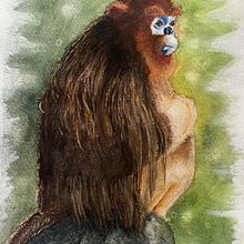 Watercolour animal studies. Watercolor Painting project by annette_b - 04.18.2024