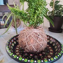 Mi proyecto del curso: Kokedamas: crea macetas naturales de musgo. Arts, Crafts, Interior Design, L, scape Architecture, Decoration, DIY, Floral, and Plant Design project by Bárbara Serrano - 04.18.2024