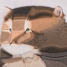 Gatos 2024. Un proyecto de Bellas Artes y Collage de Lola Dupre - 18.04.2024