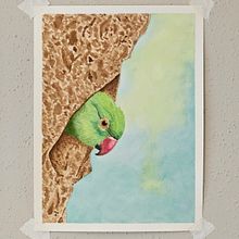 Mi proyecto del curso: Retratos expresivos de animales en acuarela. Projekt z dziedziny Trad, c, jna ilustracja, Malowanie akwarelą, R, sunek realist, czn, Ilustracja naturalist i czna użytkownika Eleana Golindano - 19.04.2024