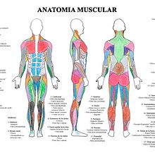 Mi proyecto del curso: Dibujo anatómico de extremidades, manos y pies. Un progetto di Belle arti, Bozzetti, Disegno a matita, Disegno, Disegno di ritratti, Disegno realistico, Disegno artistico, Sketchbook, Disegno anatomico e Illustrazione con inchiostro di Felipe De Picker - 21.04.2024