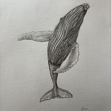 Mi proyecto del curso: Dibujo naturalista de animales con grafito Ein Projekt aus dem Bereich Traditionelle Illustration, Bleistiftzeichnung, Zeichnung und Naturalistische Illustration von Romina Montecchia - 21.04.2024