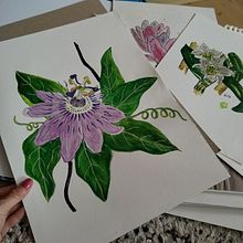 My project for course: Botanical Sketchbooking: A Meditative Approach. Een project van Traditionele illustratie,  Schetsen,  Tekening, Aquarelschilderen,  Botanische illustratie y Sketchbook van Karin Goga - 21.04.2024