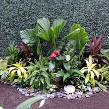 Casa Esmeralda . Un projet de Pa , et sagisme de Ana Laura Luna Hernandez - 22.04.2024