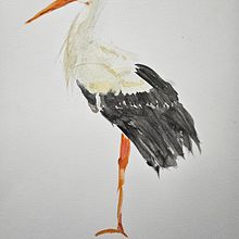 Mein Abschlussprojekt für den Kurs: Naturalistische Aquarelle mit Ausdruck und Charakter. Traditional illustration, Watercolor Painting, and Naturalistic Illustration project by a. kai. - 04.23.2024